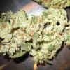 Meet The Eco-Friendly Pot Strains That Swept The Competition - GREEN RUSH DAILY